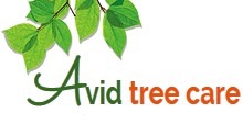 Avid Tree Care